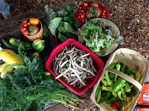 VFAN Virginia Food Access Network